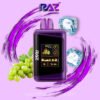 Grape Ice - RAZ Vape DC25000