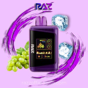 Grape Ice - RAZ DC25000 Vape