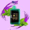 Winter Green - RAZ Vape DC25000